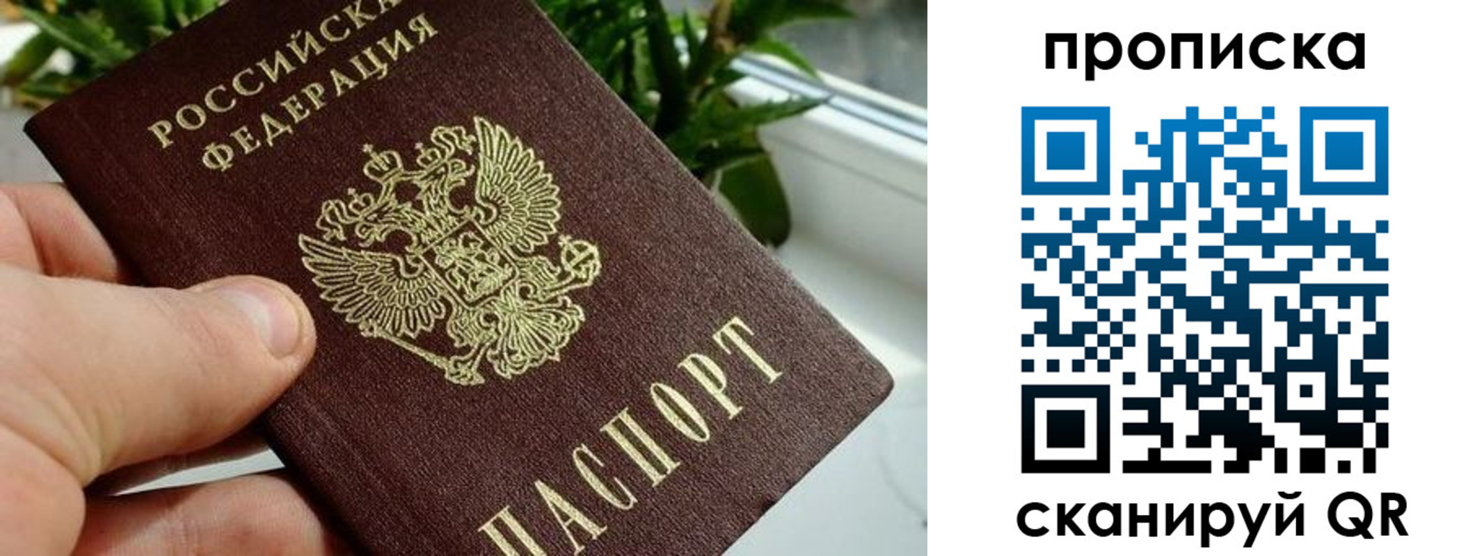 временная прописка в Димитровграде